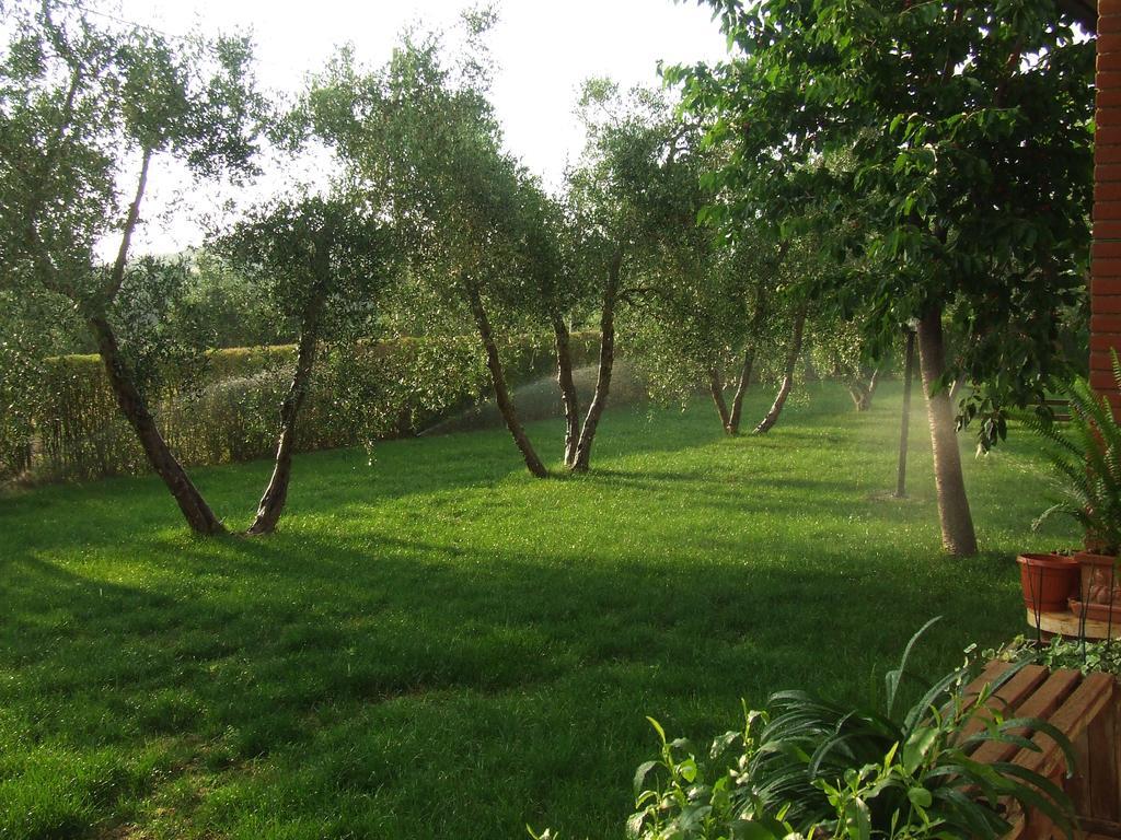 Il Punto Verde Сант-Антонио Экстерьер фото